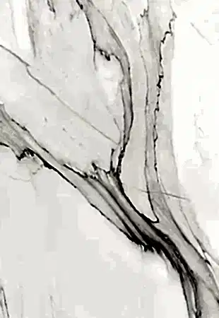 MOOD XLarge Mare PRK1004