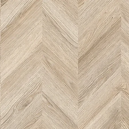 PRUVA XLarge Arya PRK1018